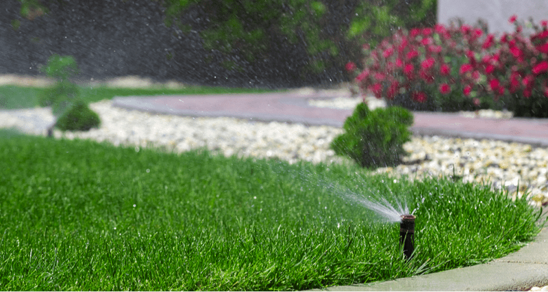 Sprinklers watering a lawn