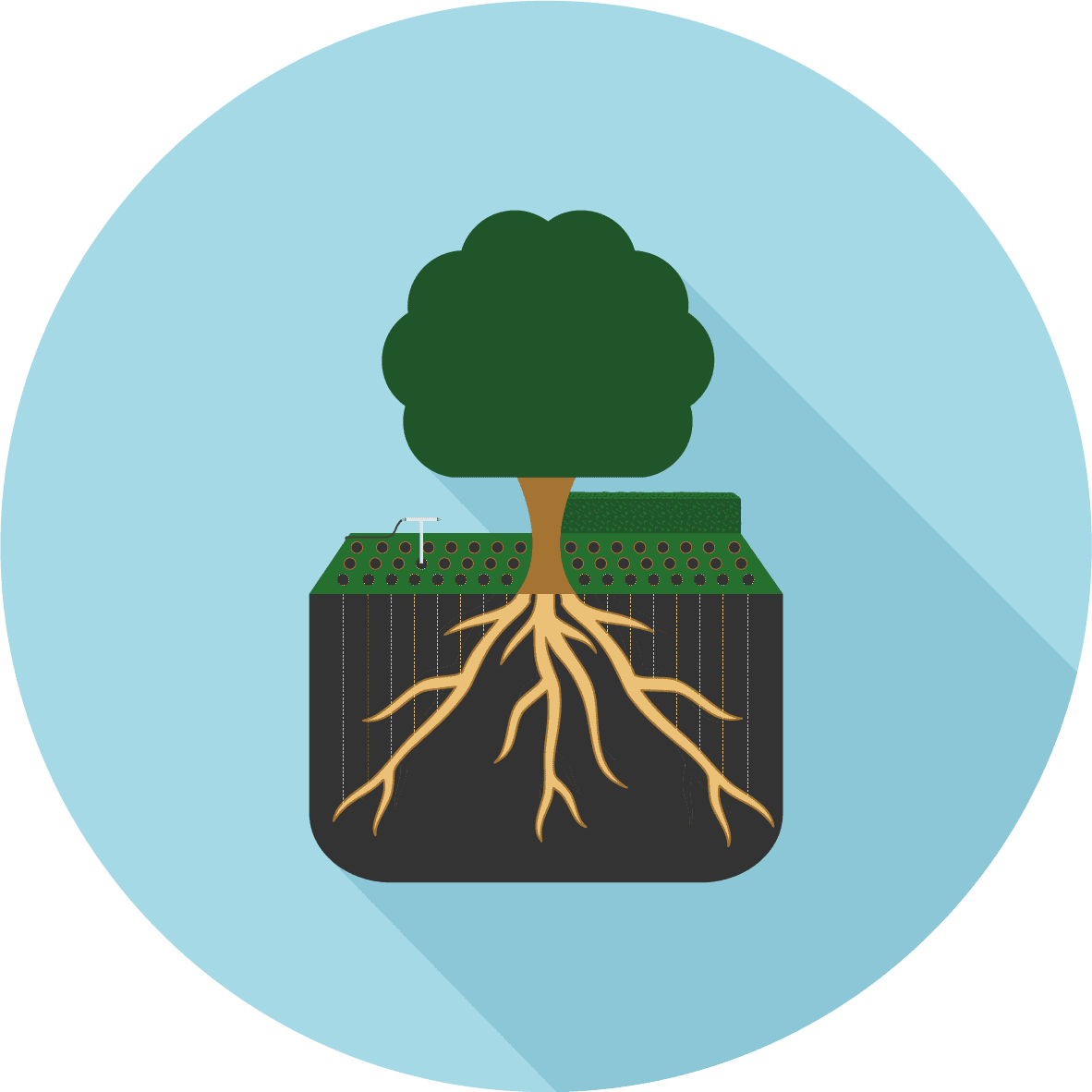 Deep Root Fertilization for Trees and Shrubs Service Image